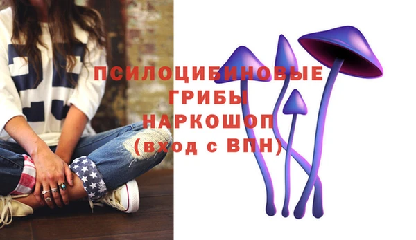 винт Баксан