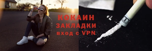 твердый Балахна