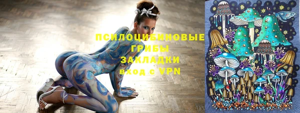 твердый Балахна