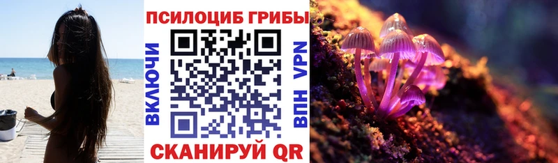 Галлюциногенные грибы мухоморы  omg маркетплейс  Феодосия  где найти  